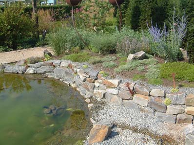 39+ Teich Steinrand, Den begehbaren teichrand legt man mit