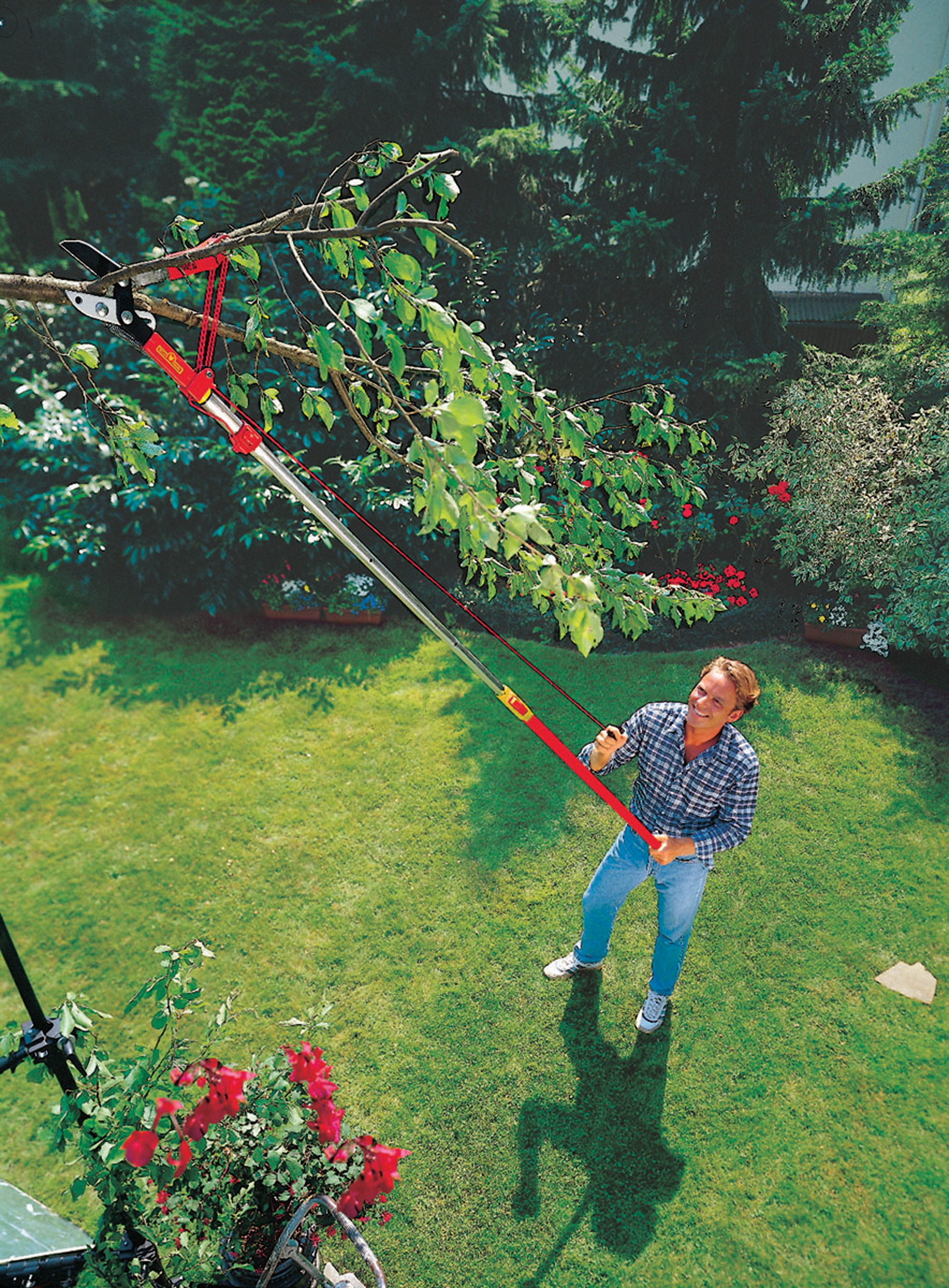 Секатор удлинённый 160-0. Длинные секаторы для деревьев. Сучкорез центроинструмент 0208. Сучкорез 536 мм skrab 28162. Длинные секаторы для деревьев.